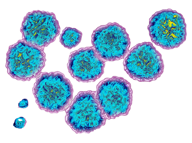 blue small biology creatures